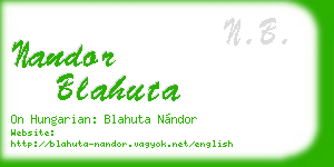 nandor blahuta business card